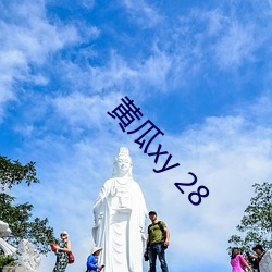 黄瓜xy 28