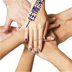 金年会(中国)官方网站