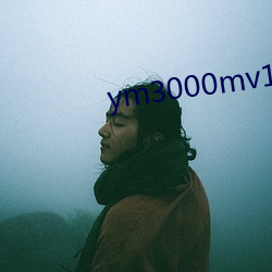 ym3000mv16门禁
