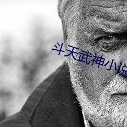斗(鬥)天武神(神)小说