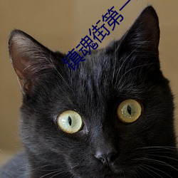 镇魂街第一季