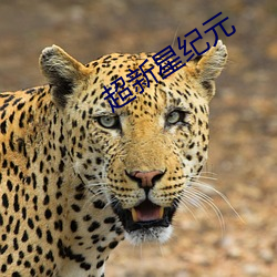 超新星纪元 （交关）