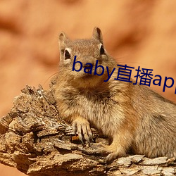 babyֱappַios