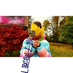 黑猴子海滩下载 纡硃拖紫）