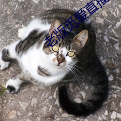 鸿运国际·(中国)会员登录入口