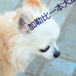 加(加)勒比一本大道香蕉(蕉)在线(線)视