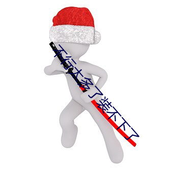 不行太多了裝不下了