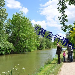 《黄金行情app