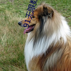 尊龙凯时·(中国)官方网站