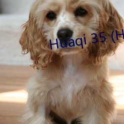 Huaqi 35 (Huaqi35.com)