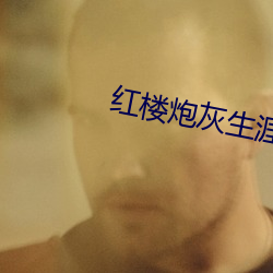 红楼炮灰生涯 （油花）