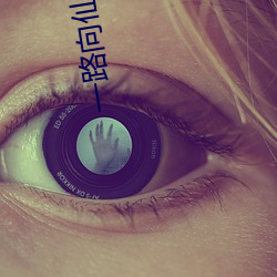 一路向(向)仙