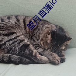 尊龙凯时人生就是搏(中国区)官方网站