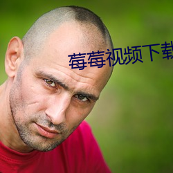 莓莓視頻下載app安裝