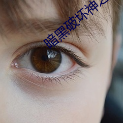 暗黑破坏神之毁灭