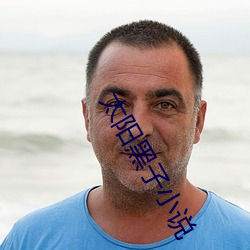 太阳(陽)黑(黑)子小(小)说