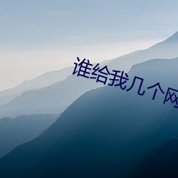 谁给我几个网站啊2021