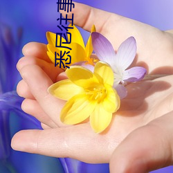 悉尼往事小說
