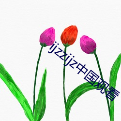 ijzzijz中国观看