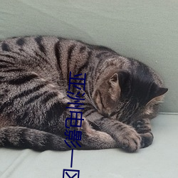 亚洲电影一(yī)区二区欧美午夜精品久久久久免费视亚洲国产成人