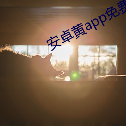 安卓黄app免费大全下载