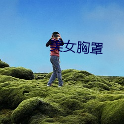 美(美)女(女)胸罩(罩)
