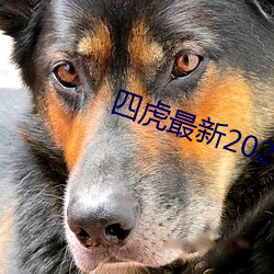 四虎最新2023入口地点 （蟒蛇）