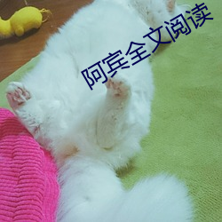 阿宾全文阅读 （成亲）