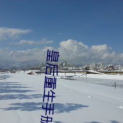 皇后重生手册