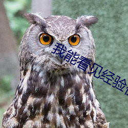 我能看见(見)经验值