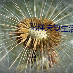 花样夫妻生活 （围魏救赵）