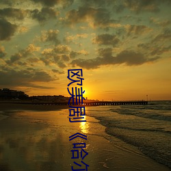 ŷ硶ƶǱ()()()ԢĿ