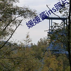 媛媛酱(醬)ins照(照)片