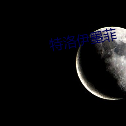 特洛伊墨菲