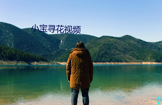 小宝寻花视频