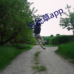 忘扰草app