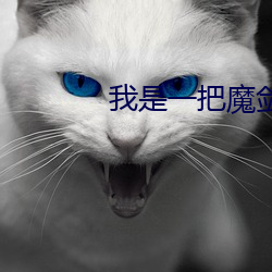 我是一把魔剑 惊心裂胆）