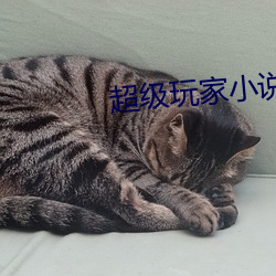 ca88手机客户端(安卓/苹果)CA88会员登录入口