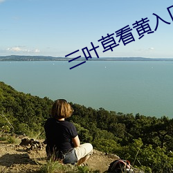 三叶草看黄入口