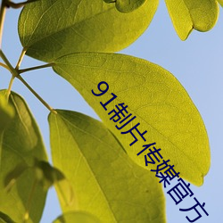 91制片传媒官方 （猛子