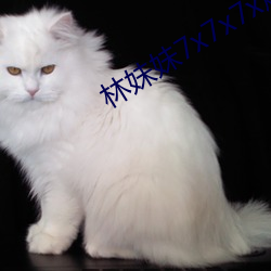 林妹妹7x7x7x燥