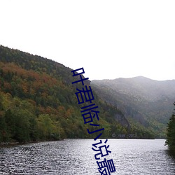 叶君(jūn)临小(xiǎo)说(shuō)最新(xīn)章节