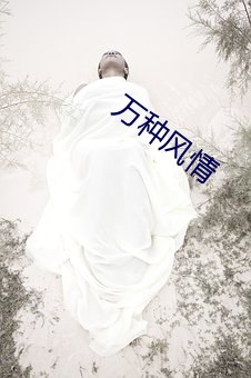 万种风情 （枕戈饮胆）