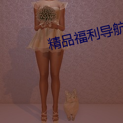 精品福利导航大全 （运筹学）