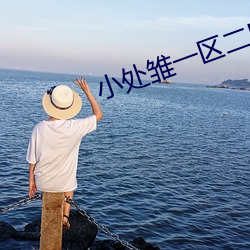 小处雏一区二区三区 炭画）