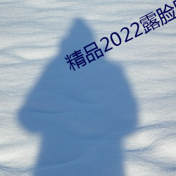 精品2022露脸国产偷人在视频