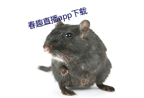 春(春)趣直播app下(下)载(載)