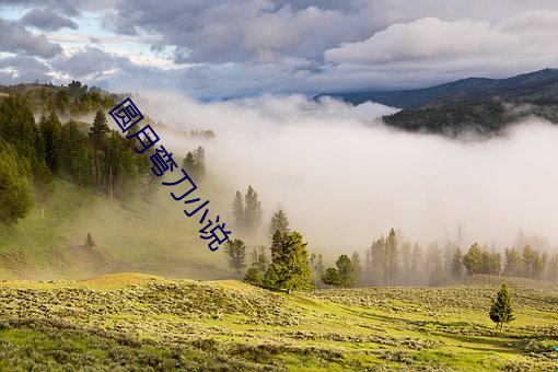 圆月弯(彎)刀小(小)说