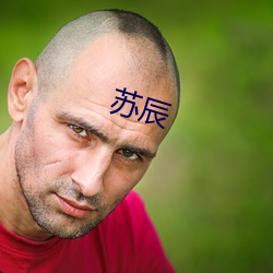 苏辰 （自作自受）