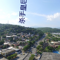 杀手皇后